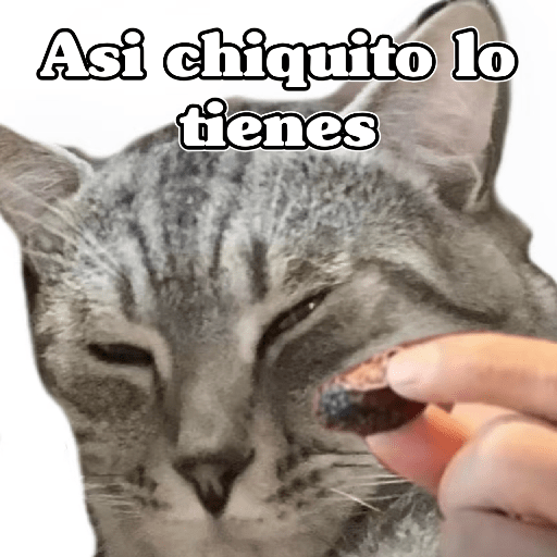 🧿Dilo con Michis1🐱 20