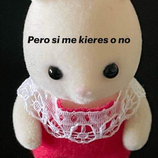 Ositos frases 😝 7