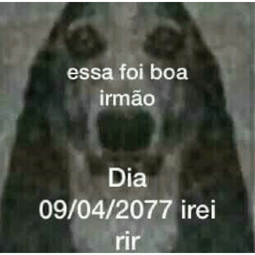 Memes 7 24