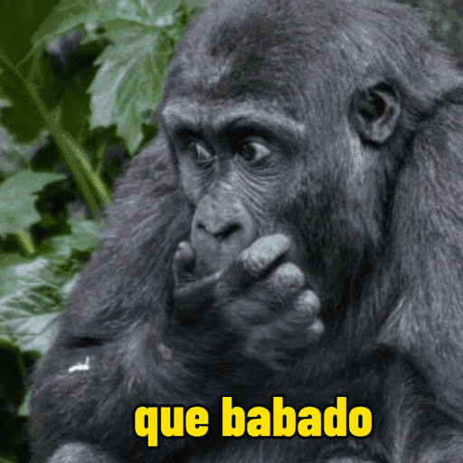 Macacos  4