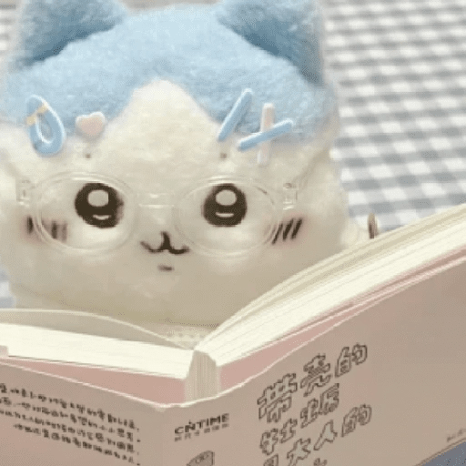 🧿Peluche Chiikawa💗🫶🏻 20
