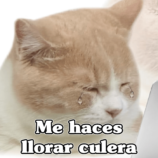 🧿Dilo con Michis3🐱 17