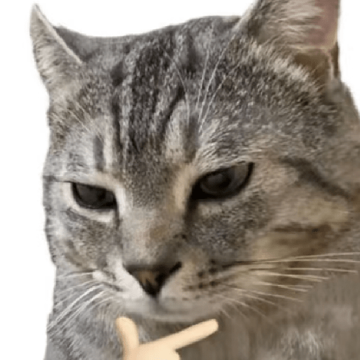 🧿Dilo con Michis1🐱 21