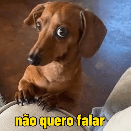 Oi, posso falar 14
