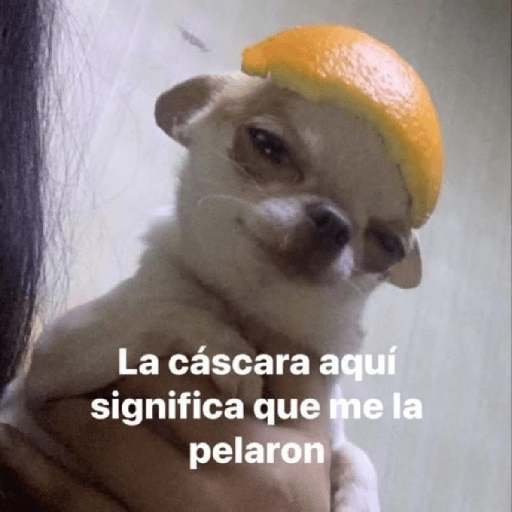 Frases 🤭 1