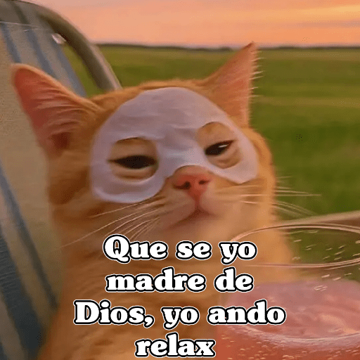 🧿Dilo con Michis3🐱 18