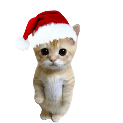 Gatos natalinos 15