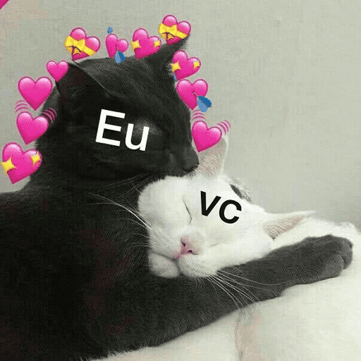 Namorados ❤️ 12