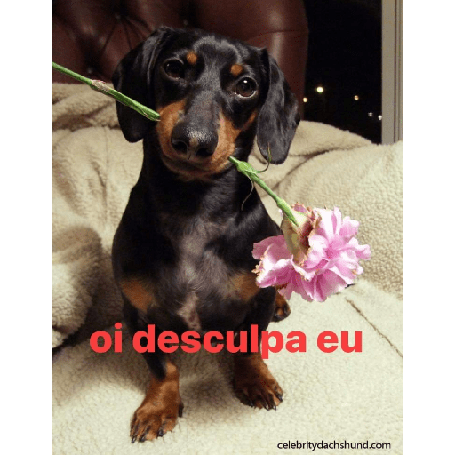 Figurinhas do Kevyn 4 17