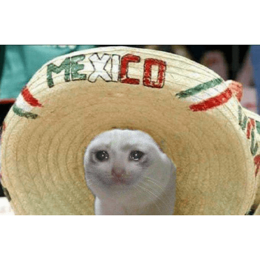 Nuevos 16
