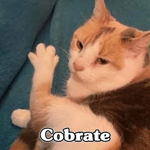 🧿Memes Variados16 😎 23