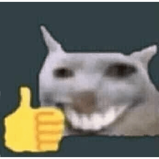 😹GATOS 🗯❕ 18