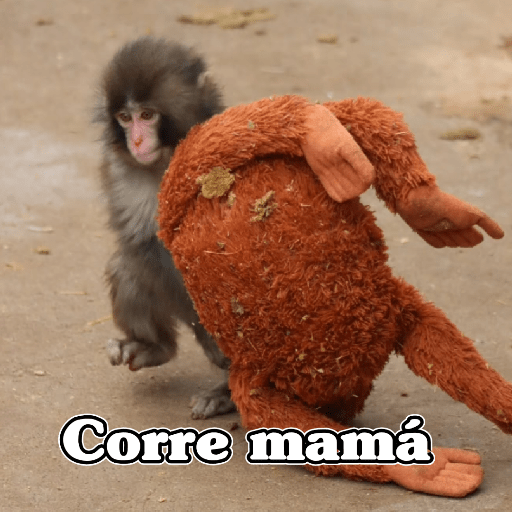 🧿Punch monito bebe🦧🐒 2