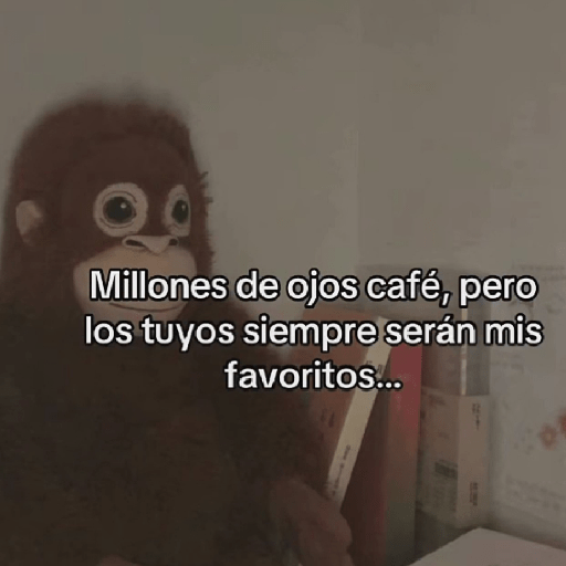🧿Punch Frases♥️🦧🐒 30