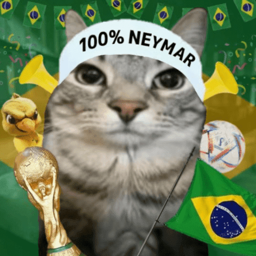 BRASIL 💛💚 8