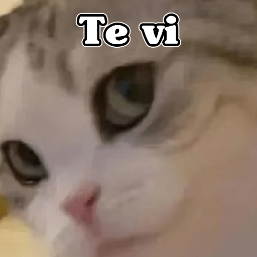 🧿Dilo con Michis2🐱 24