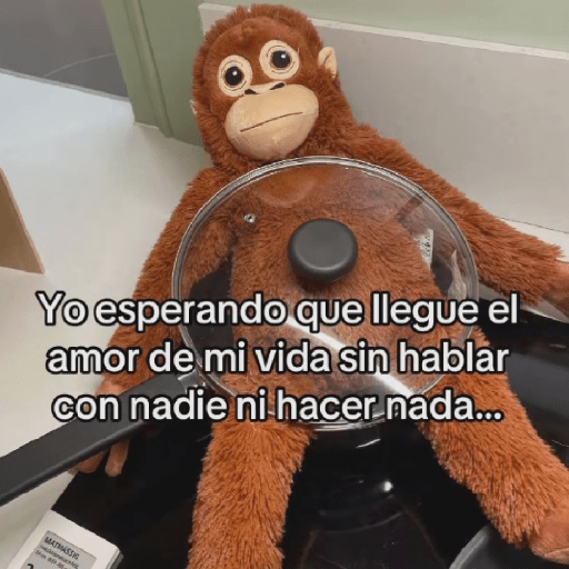 🧿Punch Frases♥️🦧🐒 27