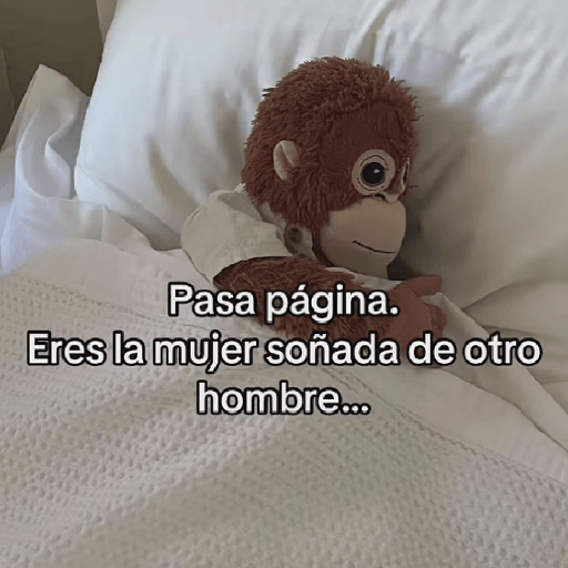 🧿Punch Frases♥️🦧🐒 22