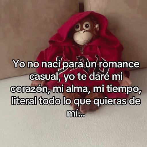 🧿Punch Frases♥️🦧🐒 24