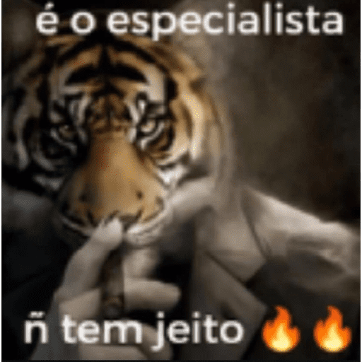 Shitpost de qualidade 4