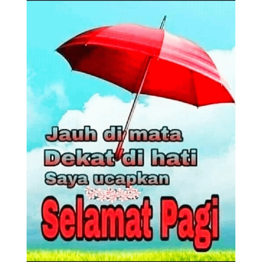 Meme v5 15