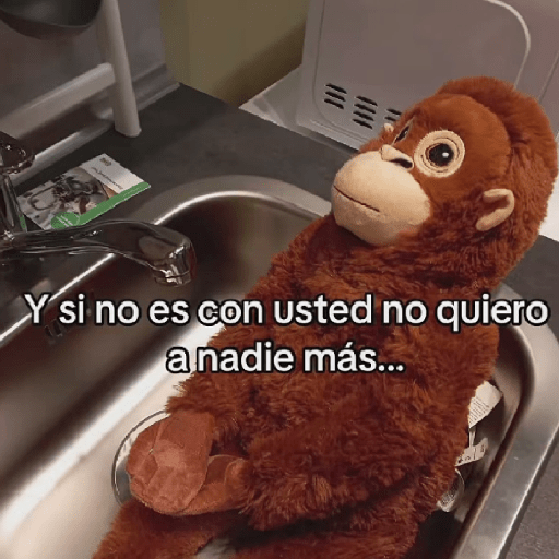 🧿Punch Frases♥️🦧🐒 26