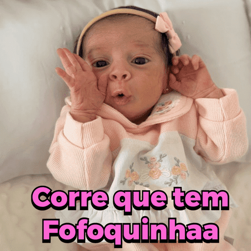 Minhas figurinhas 11