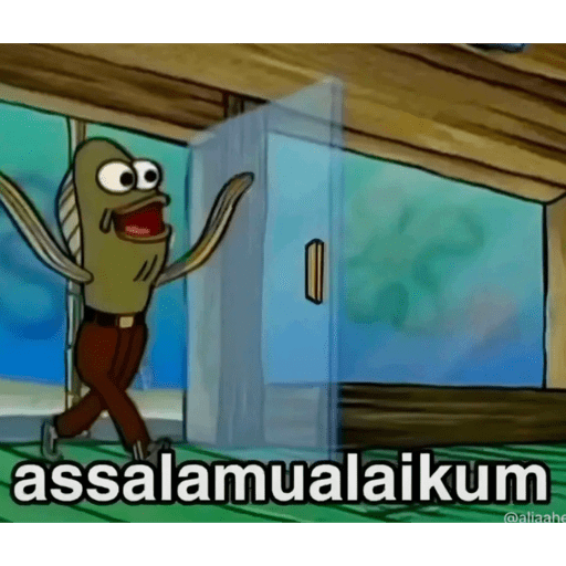Meme v5 29