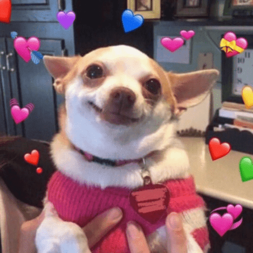 Pra mandar pro seu amor ❤️ 9