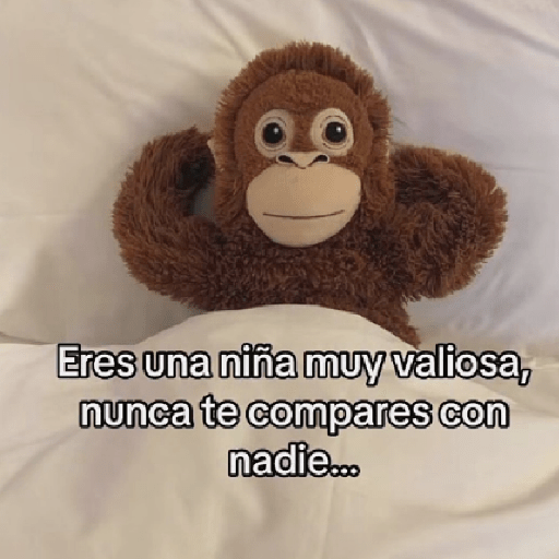 🧿Punch Frases♥️🦧🐒 19