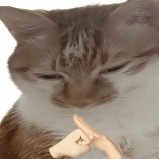 🧿Dilo con Michis2🐱 20