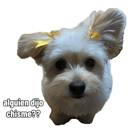 Bebés 3 1