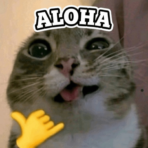 Gatitos frases 😺 4