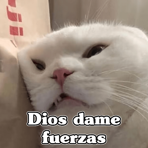 🧿Dilo con Michis3🐱 8