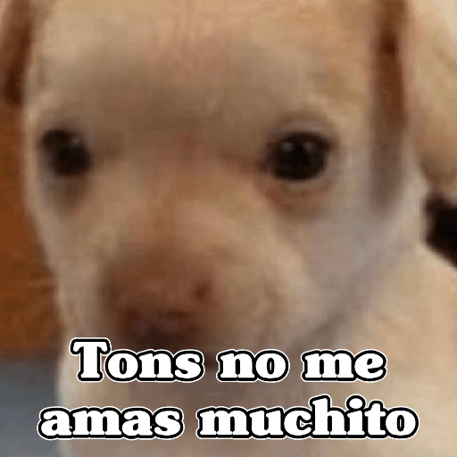 🧿Memes Variados16 😎 20