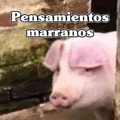 🧿Memes Variados16 😎 19