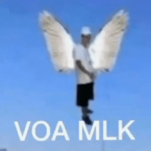 APENAS SHITPOST 11