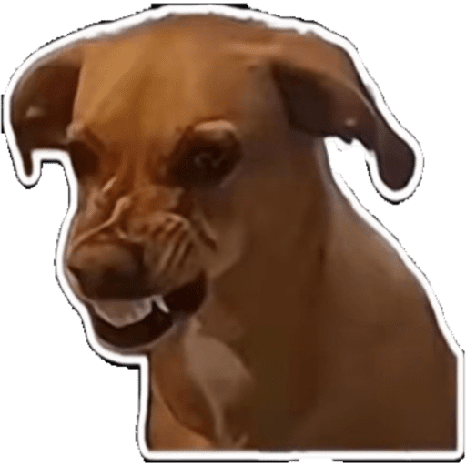 Jajajajg 3