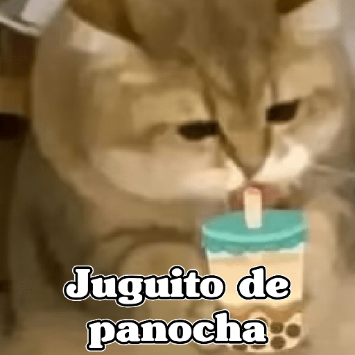 🧿Dilo con Michis3🐱 6