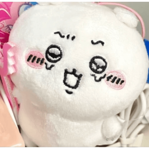 🧿Peluche Chiikawa💗🫶🏻 28