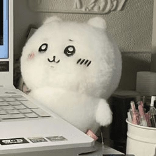 🧿Peluche Chiikawa💗🫶🏻 29