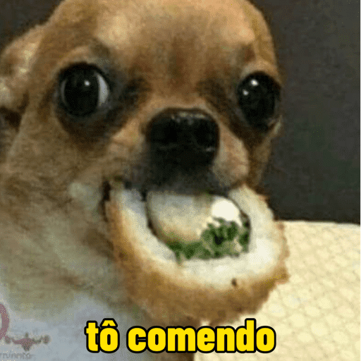 Cachorros  10