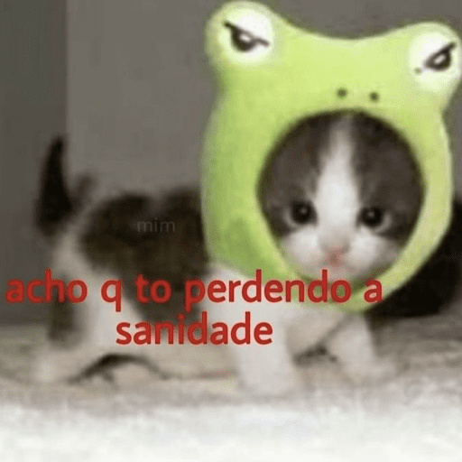 Cats 10 25