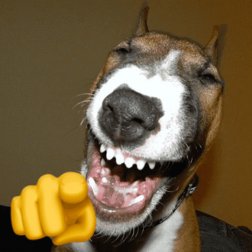Memes cachorros 2