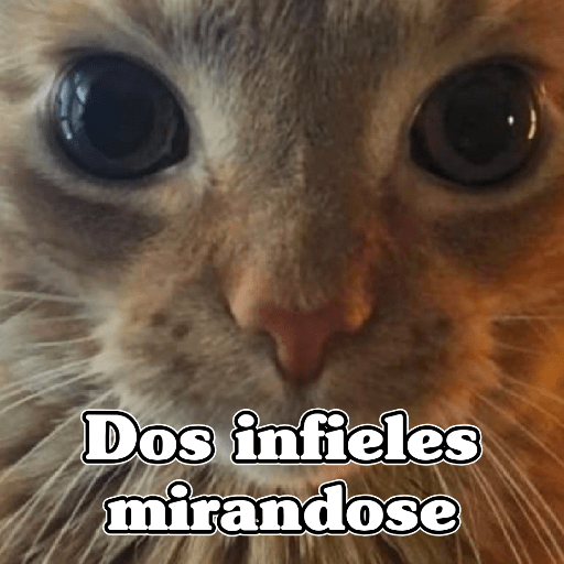 🧿Memes Variados16 😎 17