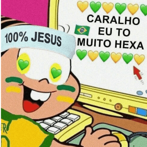 BRASIL 💛💚 13