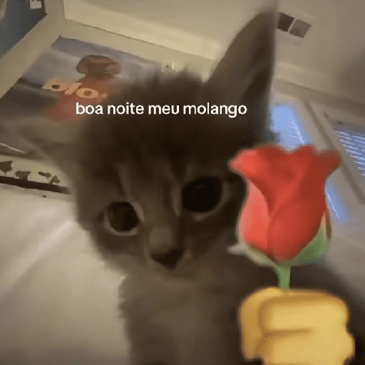 Boa noite 💤 6