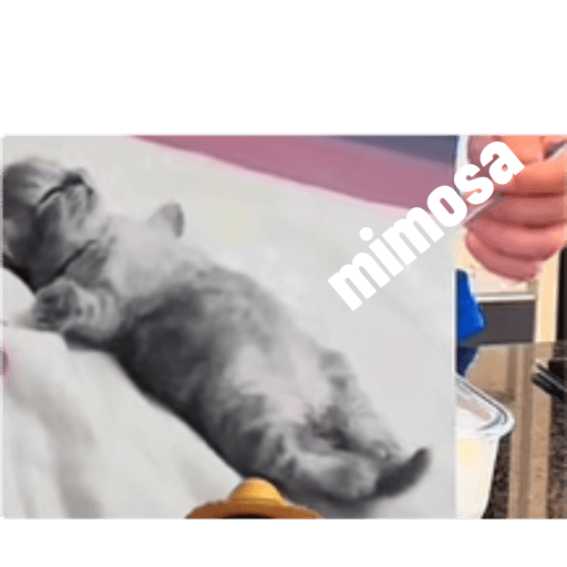 Te amo  6
