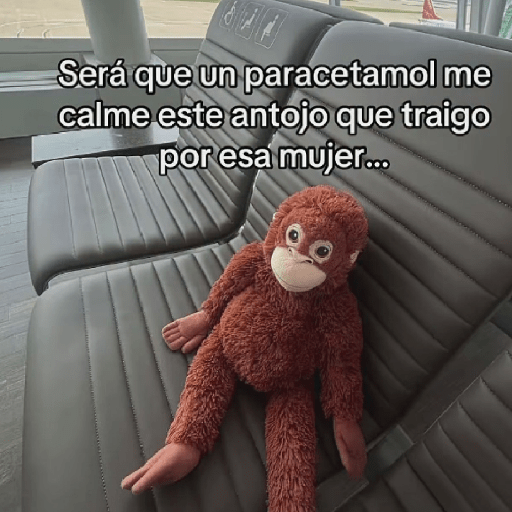 🧿Punch Frases♥️🦧🐒 21