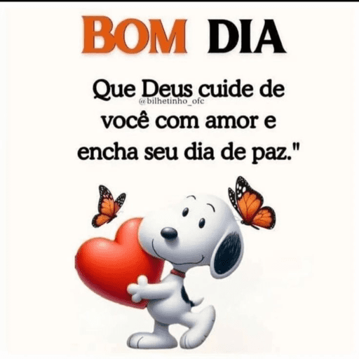 Bom dia 13